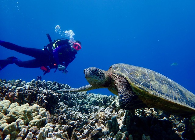 Banyan Tree Divers Maui