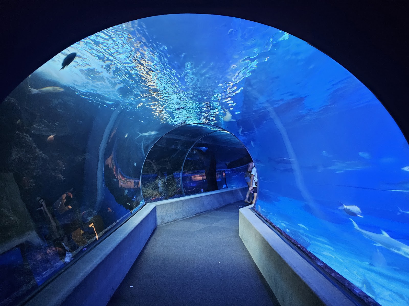 Maui Ocean Center
