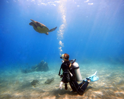 Aloha Maui Diving