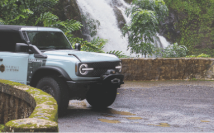 Hawaii By Storm Tours