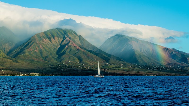 Lahaina gallery