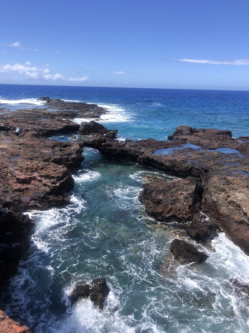 Lahaina gallery