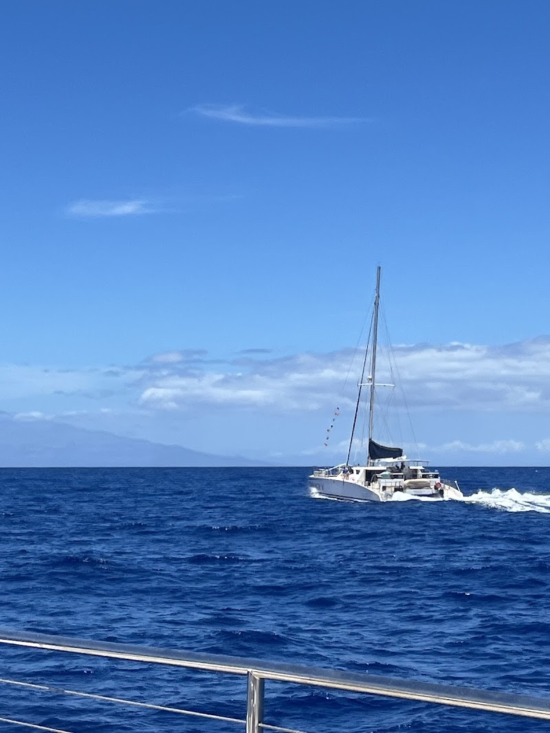 Lahaina gallery
