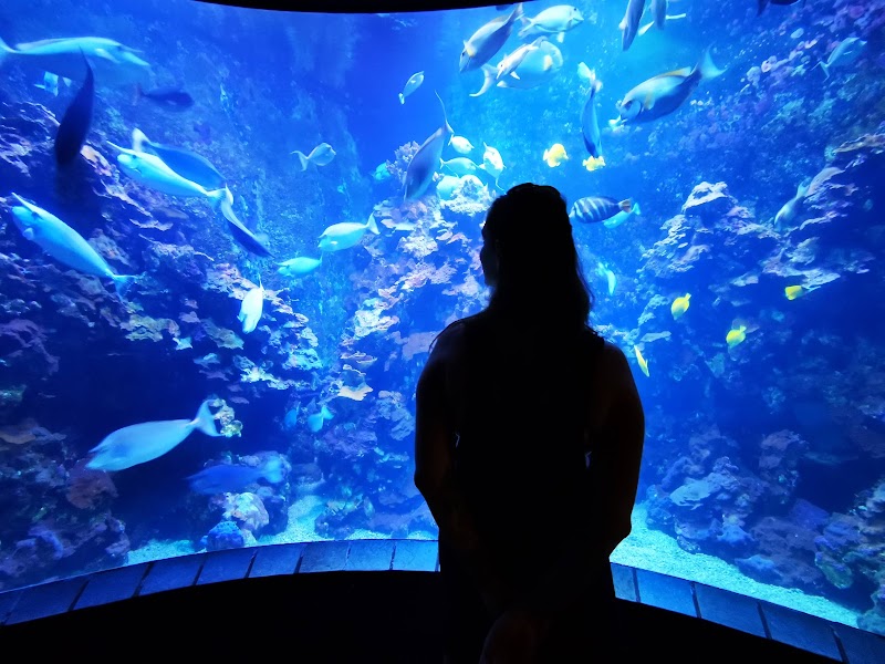 Maalaea gallery