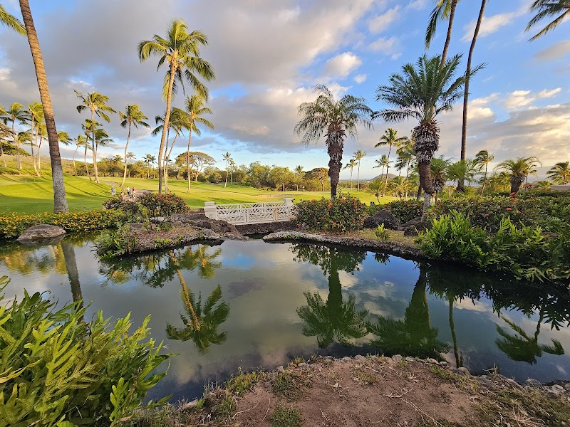Wailea gallery