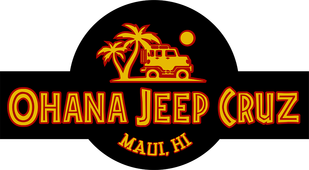 Ohana Jeep Cruz